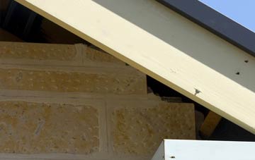 soffit repair Dayhouse Bank